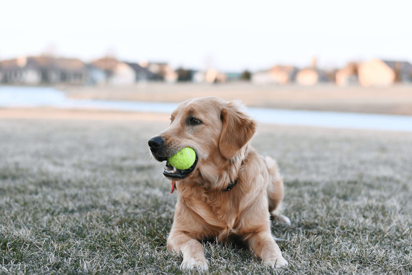 fetch() In Node.js Core: Why You Should Care